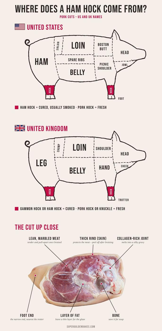 Pork cuts chart showing where a ham hock comes from on the pig, with US and UK cut names, and a labeled close-up of a raw ham hock showing the rind, fat, bone and lean meat.