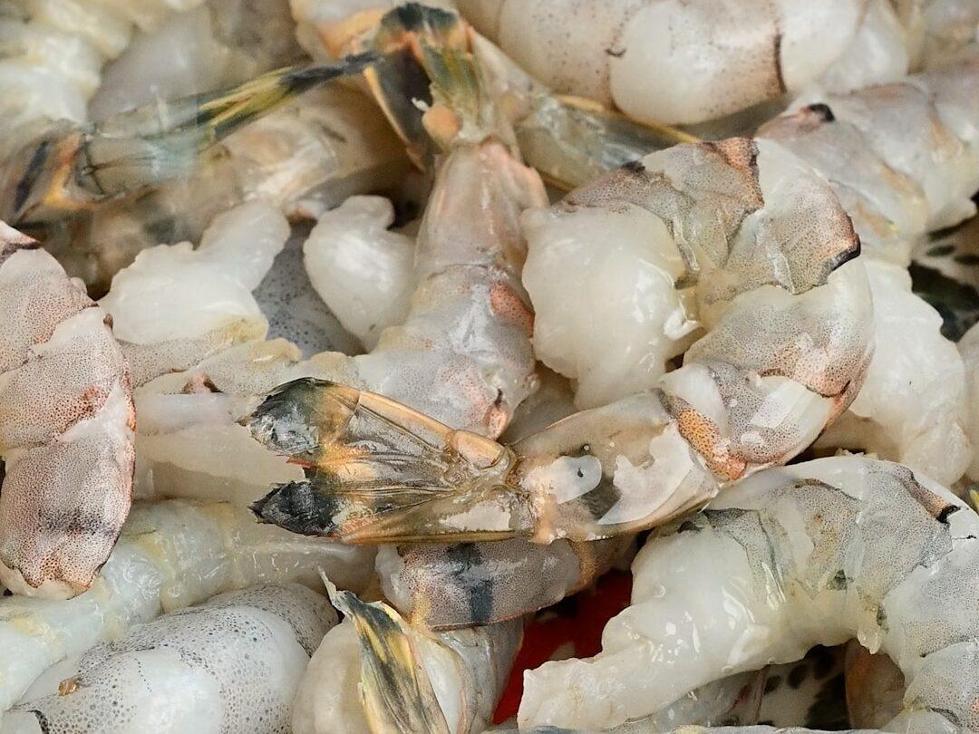 raw shrimp (king prawns) close up