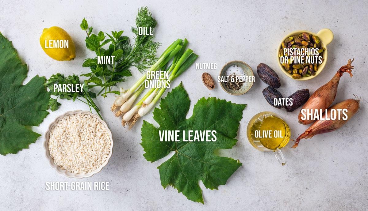 Ingredients for stuffed vine leaves are laid out on a light surface, including vine leaves, short-grain rice, lemon, parsley, mint, dill, green onions, shallots, pistachios, pine nuts, dates, olive oil, nutmeg, salt, and pepper.