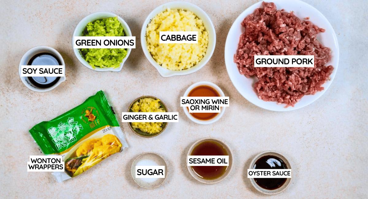 A top-down view of ingredients for dumplings—including minced pork, cabbage, spring onions, and wonton wrappers—clearly labelled and perfect for making classic dumplings or a creative dish like dumpling lasagne.