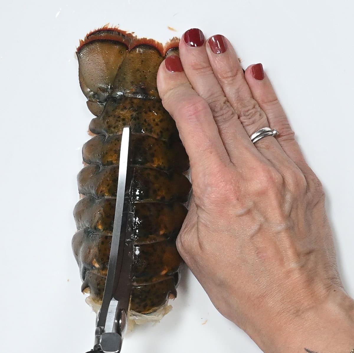 cutting through a lobster tail with kitchen scissors