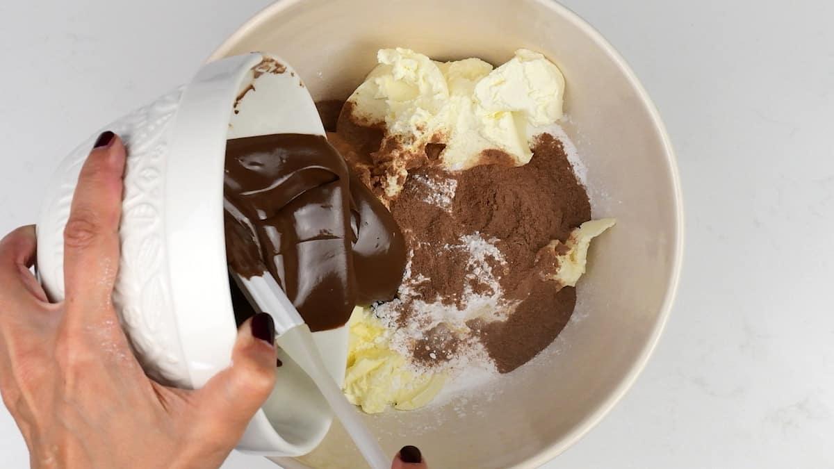 Cream cheese, icing sugar, malted milk powder and melted chocolate in a mixing bowl