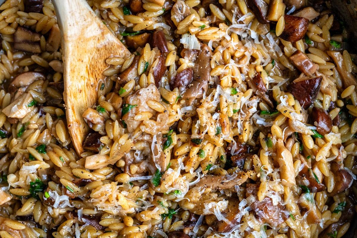 close up on mushroom orzo dish