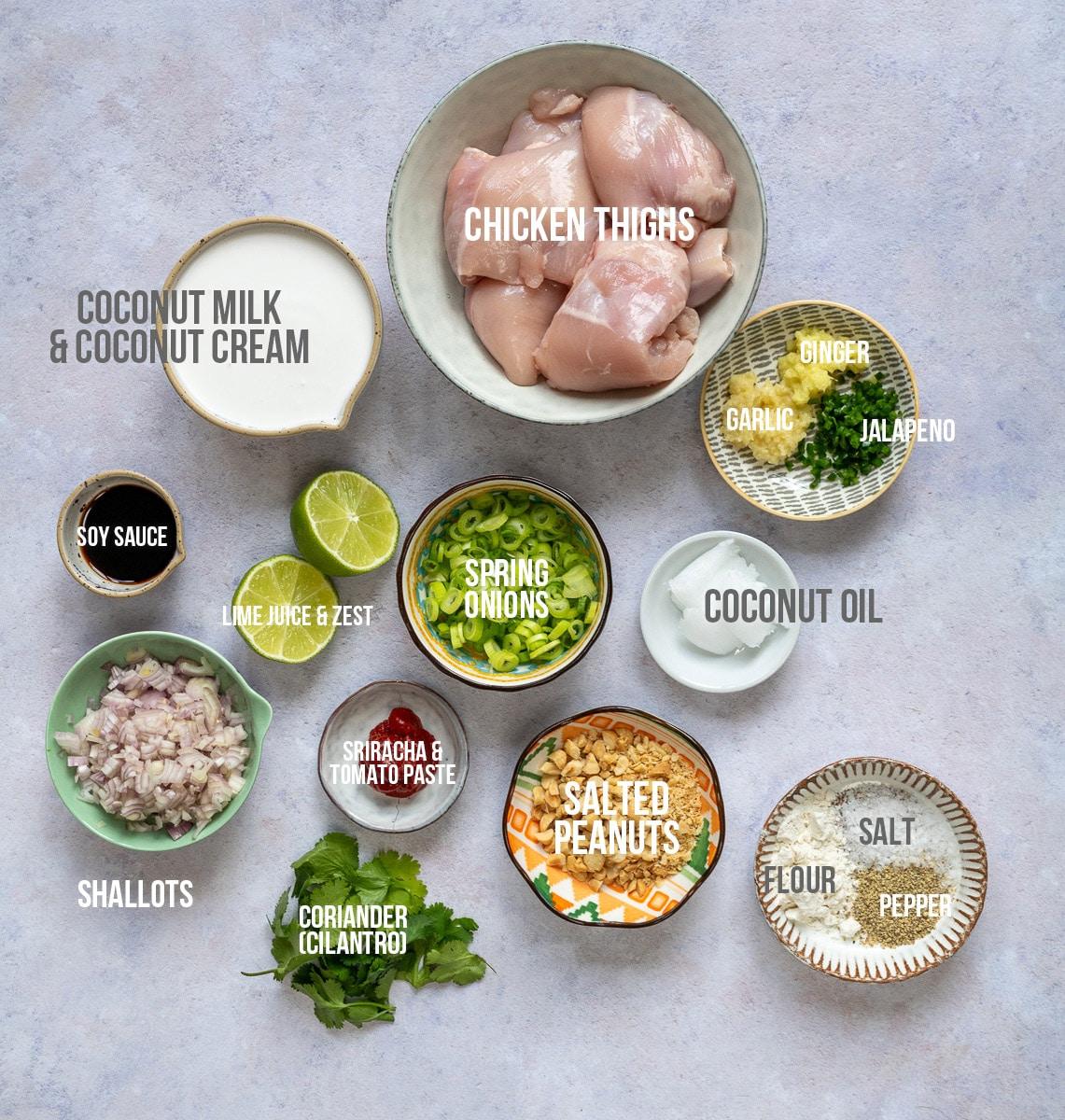 Coconut lime chicken ingredients measured out in bowls with captions