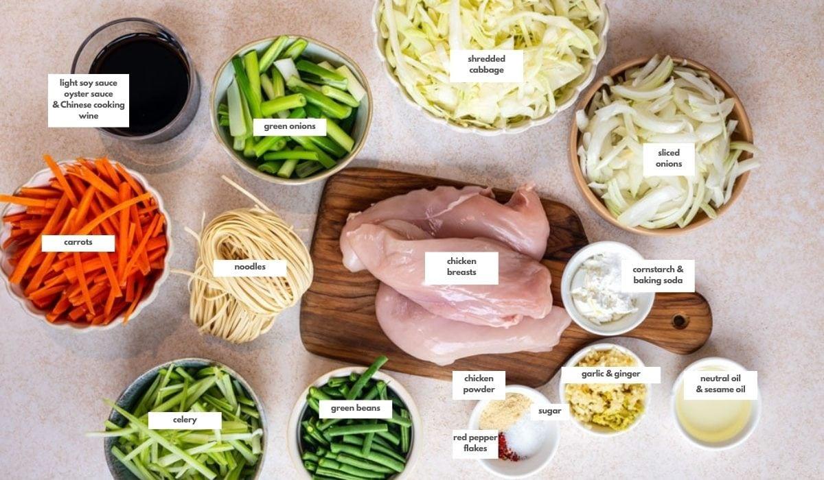 A top-down view of prepared ingredients for a stir-fry, including raw chicken breasts, shredded cabbage, sliced onions, chopped carrots, celery, green beans, green onions, dry noodles, and various seasonings in bowls.