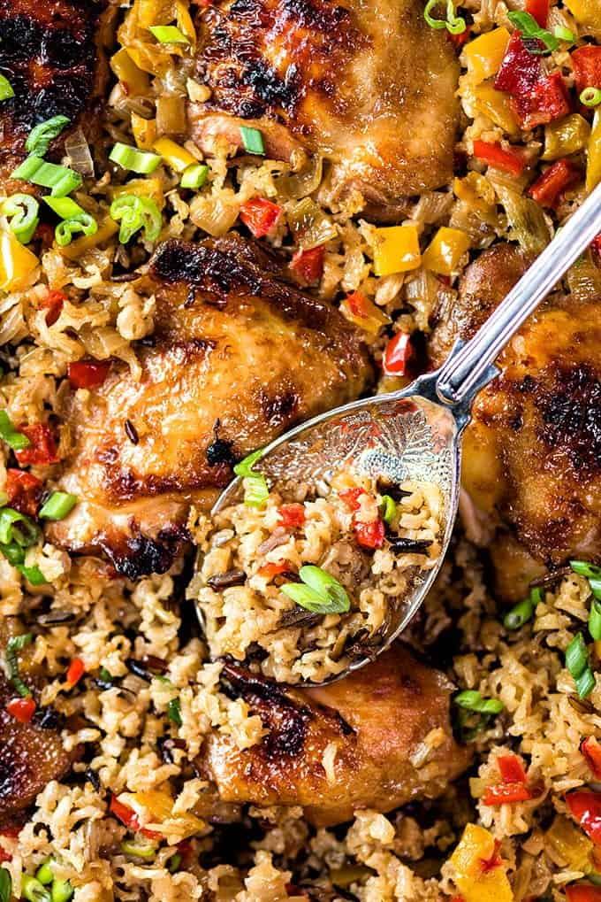 close up on chicken and rice dish garnished with spring onions
