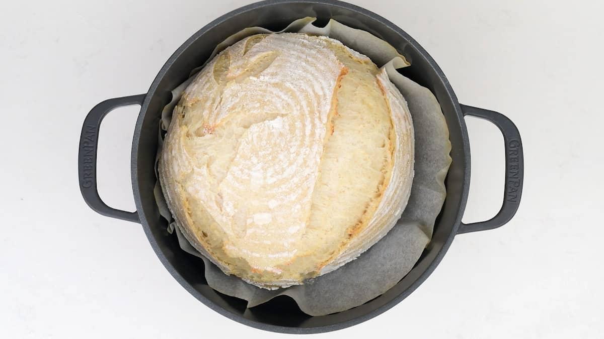 Sourdough loaf after 20 minutes baking in a Dutch Oven