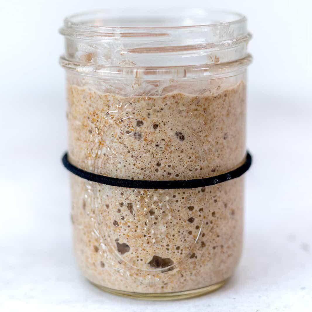 Jar of bubbly sourdough starter