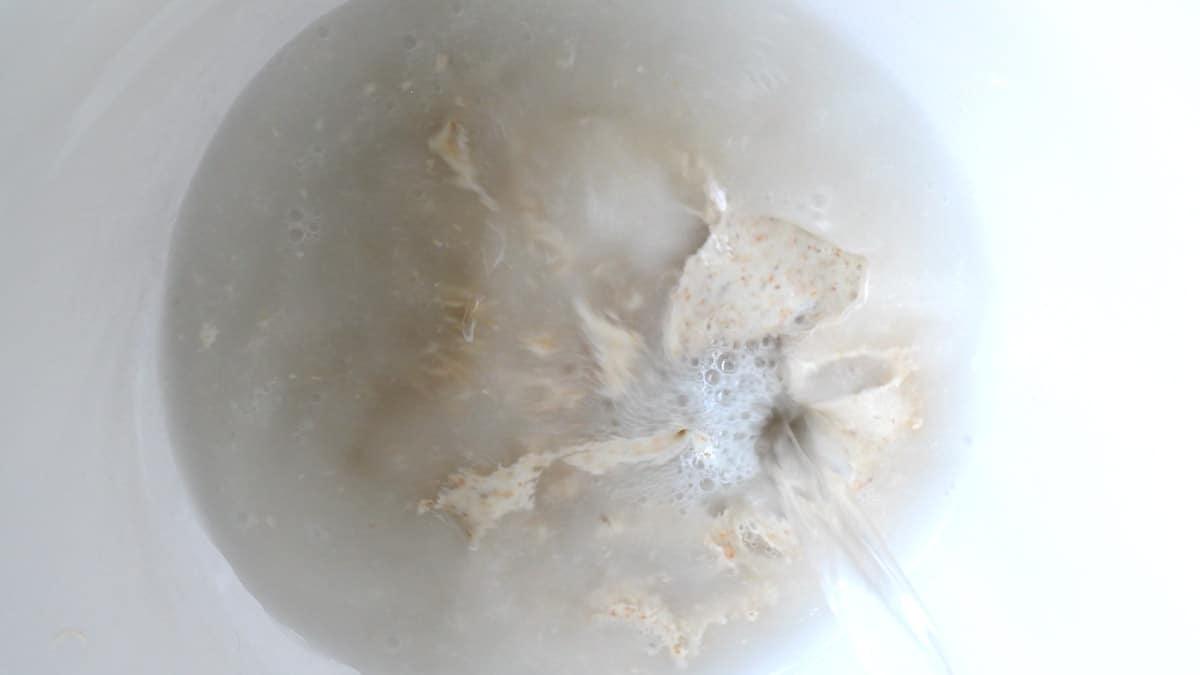 mixing sourdough starter and water in a bowl