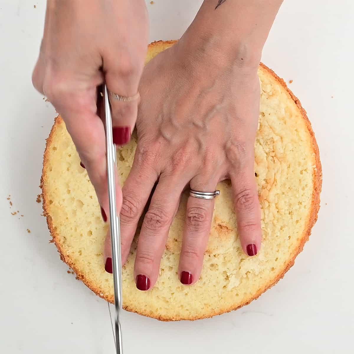 slicing sponge cake using a leveler