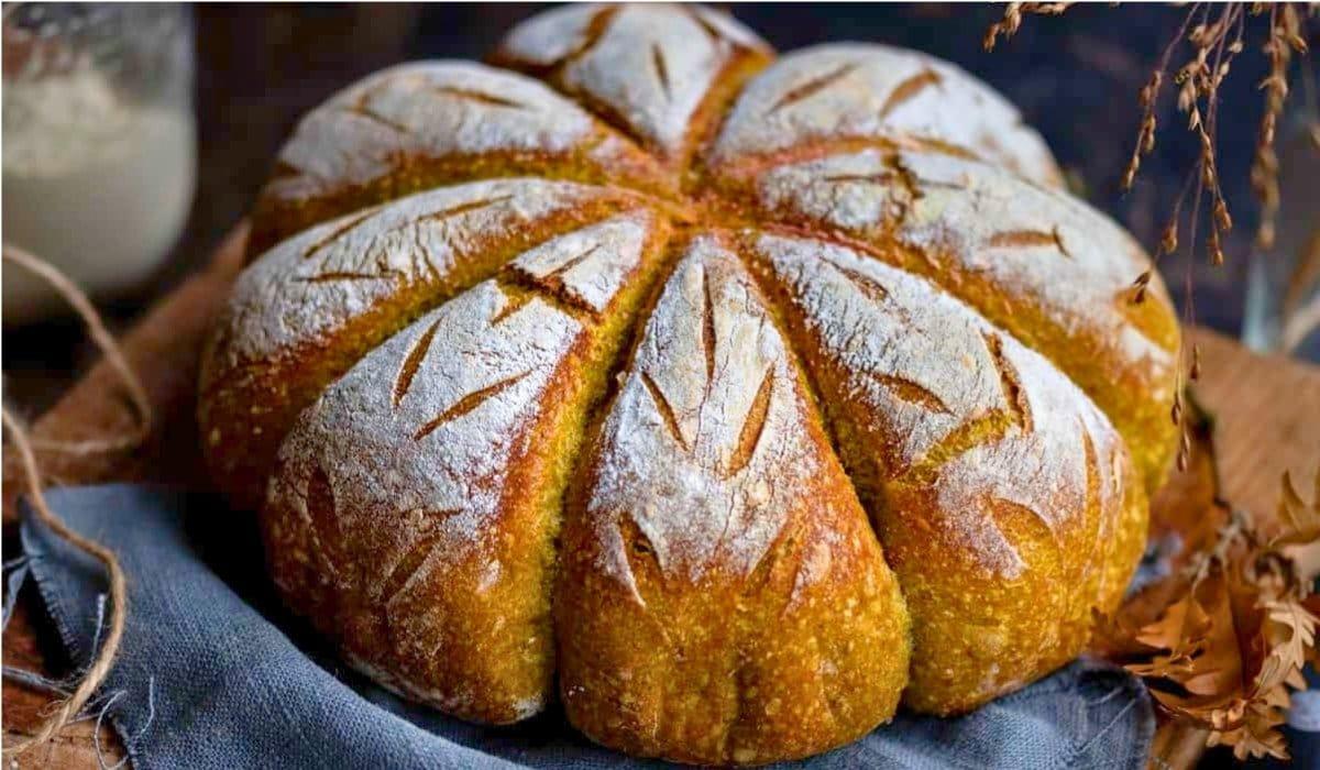 A baked pumpkin sourdough loaf with a deeply scored, flour-dusted crust resting on a blue cloth.