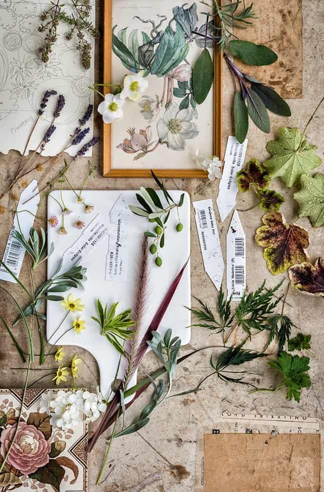 From the ground up – planting my dream garden
