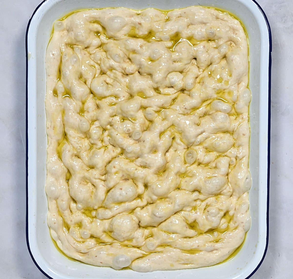 dimpled focaccia dough in a pan drizzled with olive oil