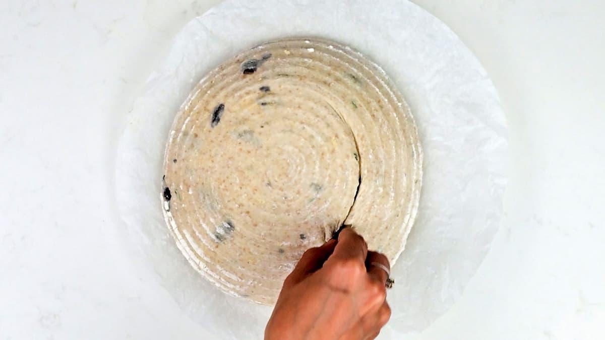 scoring a loaf of sourdough olive loaf with a razor