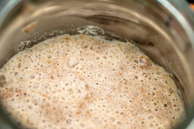 bubbly sourdough starter in a bowl