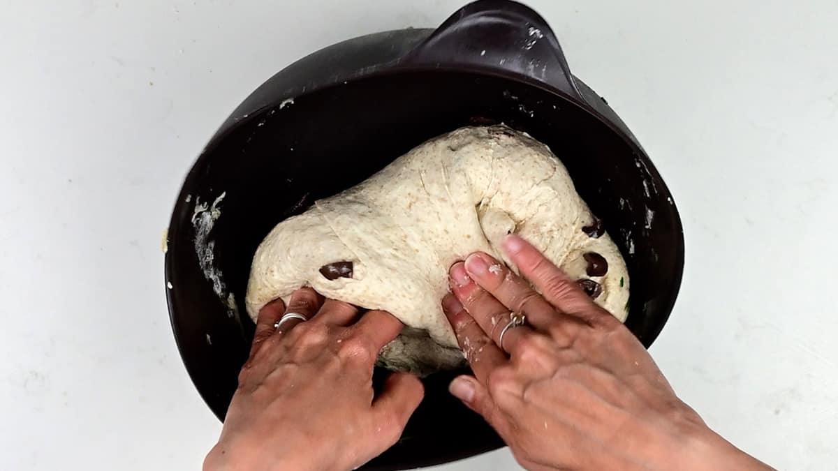 folding olives into sourdough