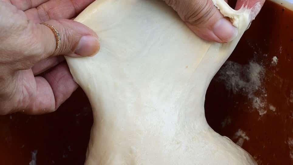 stretching sourdough dough to show elasticity