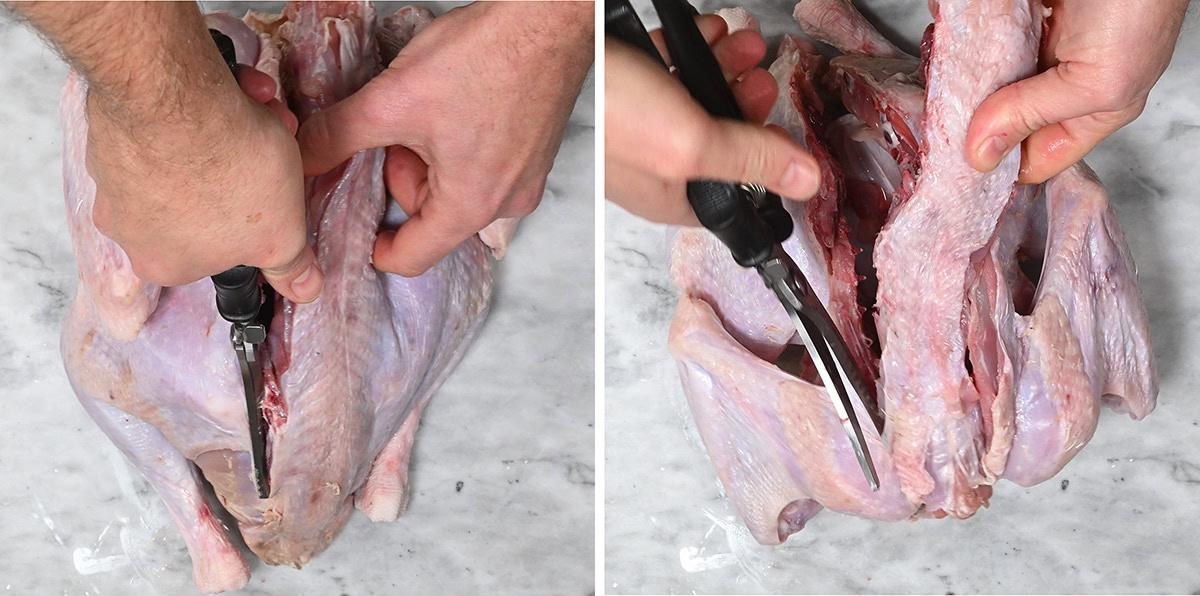 spatchcoking a turkey, cutting through and removing spine