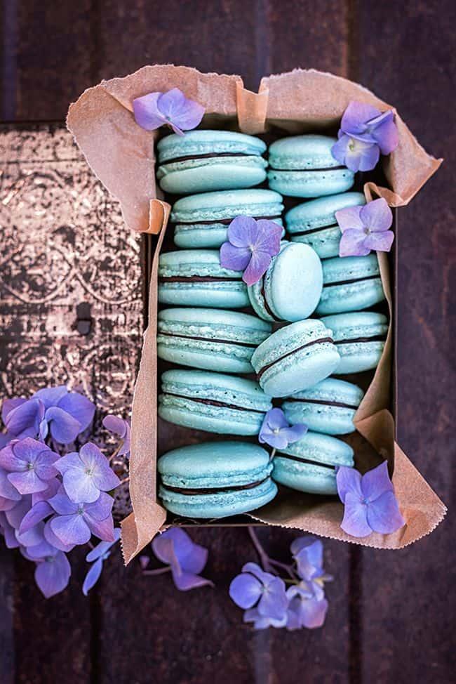 Vegan aquafaba macarons with avocado chocolate filling in a pretty box