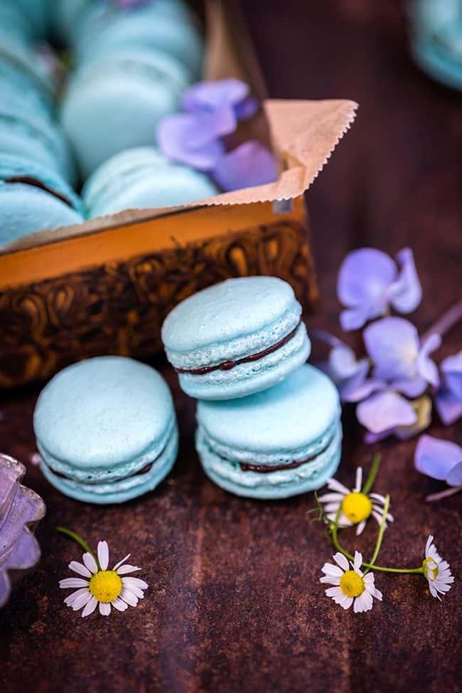 Vegan aquafaba macarons with avocado chocolate filling